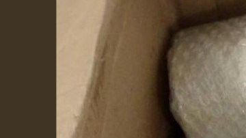 La droga fue decomisada por la Policía Federal.