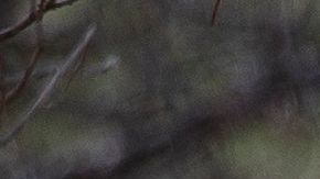 Memorial de las víctimas de la masacre de  Columbine en Littleton, Colorado.