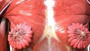 La imagen en las redes sociales ha sido estilizada y simplificada, opina una doctora.