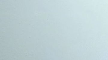 Miguel Herrera, técnico de las Águilas del América