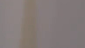 El presidente Trump se refirió en 2018 como "animales" a miembros de pandillas.