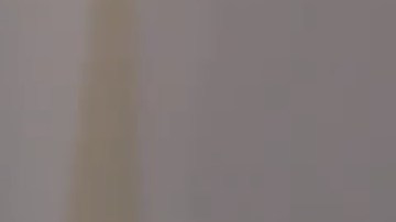 El presidente Trump se refirió en 2018 como "animales" a miembros de pandillas.