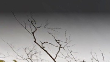 Washington Village en Asbury Park, NJ