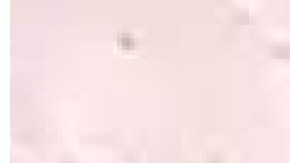 A la víctima se le ve sentada con los ojos vendados.