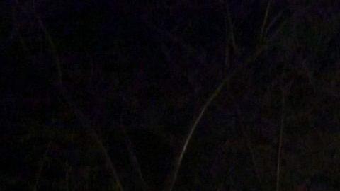 Violencia en Veracruz