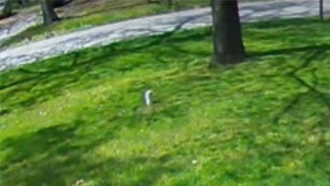 Además de entregar el paquete con rudeza, la chofer decidió dejar 'algo más' en esta calle.