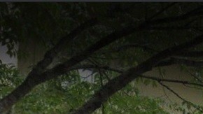 Belmont Preparatory High School, en Fordham Road