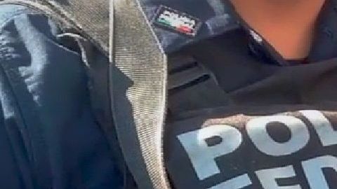 Policías federales