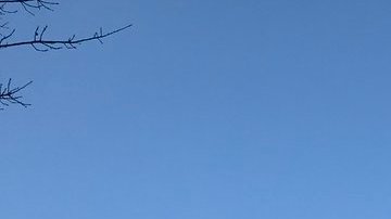 Bomberos activos en 702 44 St, Brooklyn