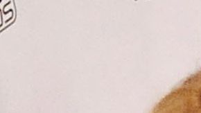 Lucero y Gaby Spanic