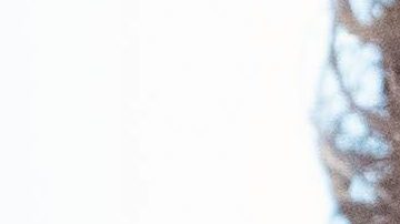 Trump pronuncia “socialismo” y “fronteras abiertas” y energiza a su base.