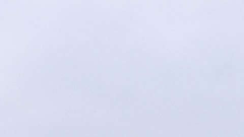 En enero de este año, el presidente Trump visitó el sector del Valle del Río Grande.
