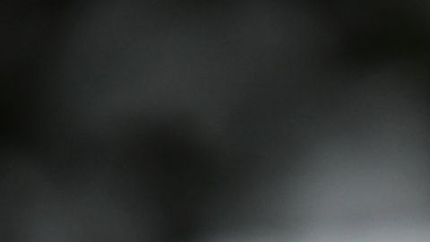 Su ausencia en la cena de este año rebaja aún más el perfil de ese acto, previsto para el próximo 27 de abril en Washington.