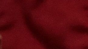 Pelosi es la líder de facto de los demócratas.