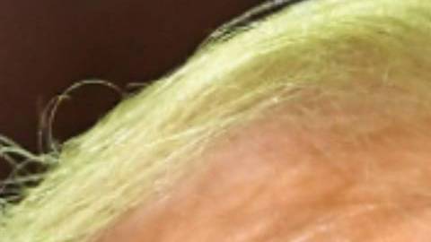 Mitch McConnell le dijo a Trump que olvidara su idea de una reforma sanitaria antes de 2020