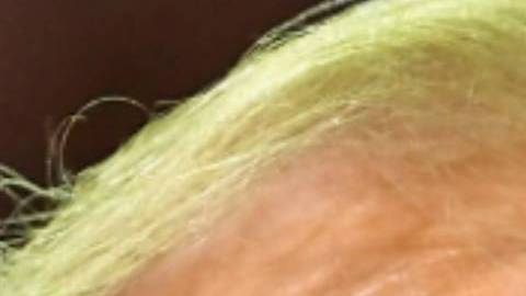 Mitch McConnell le dijo a Trump que olvidara su idea de una reforma sanitaria antes de 2020