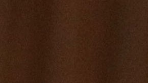 Alexandria Ocasio-Cortez es una de las estrellas ascendentes del Partido Demócrata.