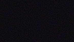 Arnold Schwarzenegger.