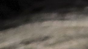 La precandidata presidencial demócrata y senadora Elizabeth Warren.