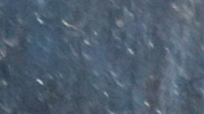 Julian Assange Arrested