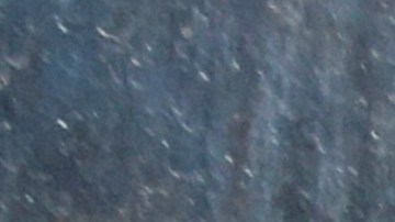 Julian Assange Arrested