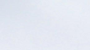 Catedral de Notre Dame