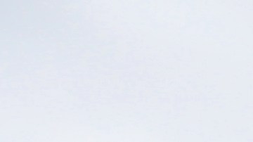 Catedral de Notre Dame