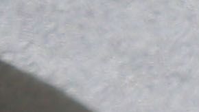 Un pistolero mató a una mujer e hirió a otros en una sinagoga en CA.