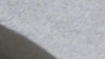 Un pistolero mató a una mujer e hirió a otros en una sinagoga en CA.