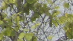 Twin Peaks donde ocurrió el tiroteo entre bandas de motoristas rivales, el 18 de mayo de 2015.