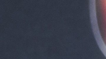 Elsa Pataky cambió de estilo.