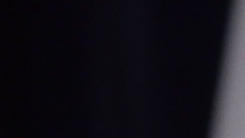 US-JAPAN-DIPLOMACY-TRUMP-ABE