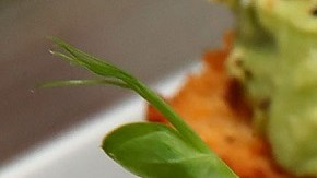 De cerrar la frontera, el presidente Trump afectaría la importación de productos agrícolas a EEUU.