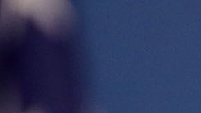 Los demócratas no se rinden en la búsqueda de los impuestos de Trump