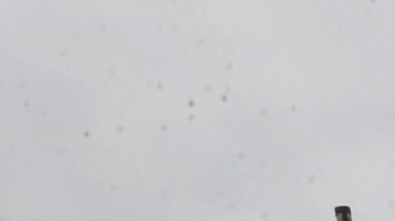 Auto de Policia de Chicago.