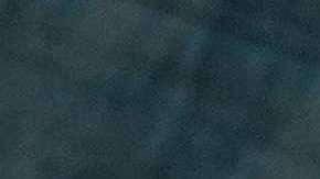 Ivanka Trump dijo que la oblicación de su padre "es resguardar las fronteras".