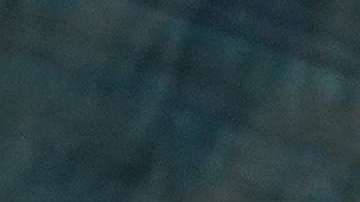 Ivanka Trump dijo que la oblicación de su padre "es resguardar las fronteras".