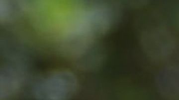 El presidente Donald Trump llegará a Houston el miércoles,