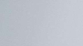 El presidente no especificó cuándo se aplicó la medida.