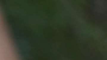 Así lo hicieron saber abogados del gobierno a corte federal de San Diego