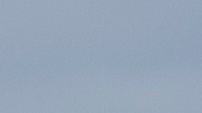 Jared Kushner y Stephen Miller.