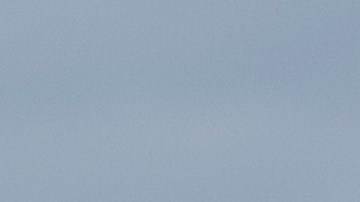 Jared Kushner y Stephen Miller.