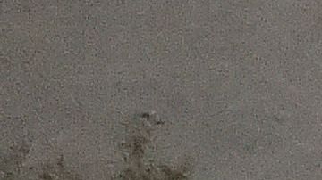 Imágenes de la bodega que ardió en llamas el 2 de diciembre, 2016 in Oakland, California.