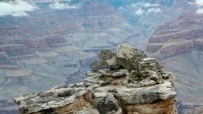 Los accidentes aéreos son la principal causa de mortalidad.