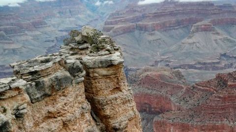 Cada año mueren de media una docena de personas en el Gran Cañón, la mayoría por deshidratación o golpes de calor