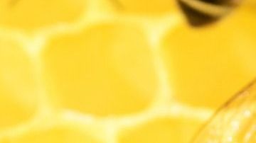 Muchas organizaciones aseguran que las abejas están en peligro de extinción.