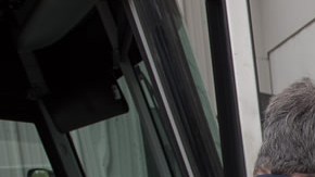 Las acciones de los agentes de ICE han aumentado en los pasado dos años tras la llegada de Trumpo a la Presidencia.