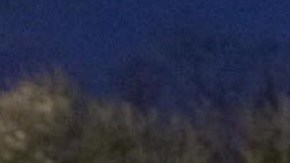 La agencia no respondió sobre el reporte del 'Beast'.