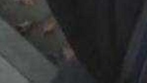 ICE realizó el operativo en varios condados.