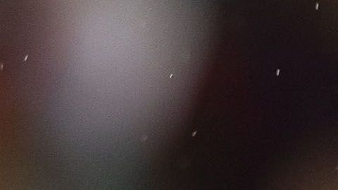 Javier "Chicharito" Hernández responde a las críticas en su contra en las redes sociales